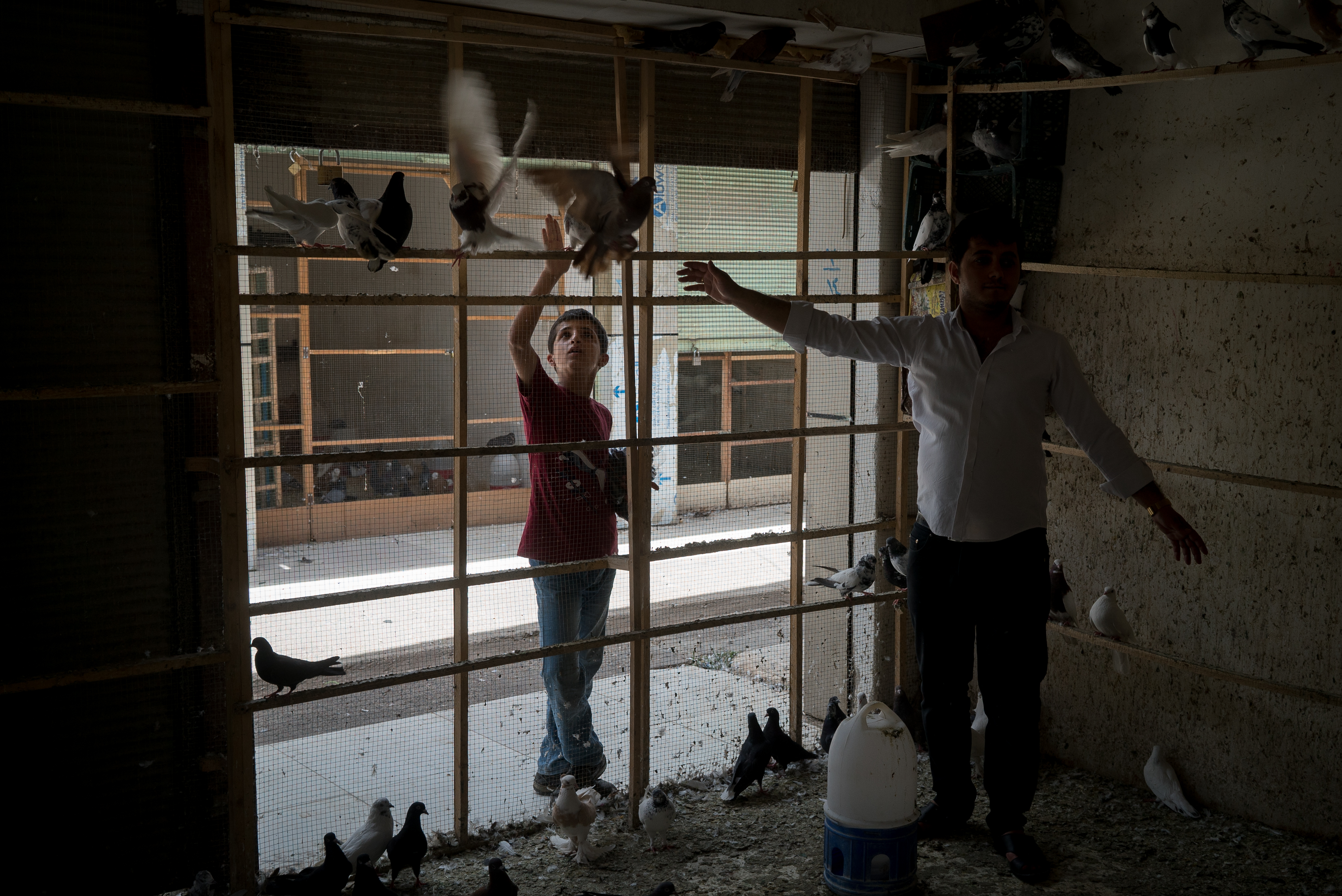 Erbil market for birds and animals, Erbil, Kurdistan Region, June 4, 2016. (Photo: Kurdistan24/Alexandre Afonso)